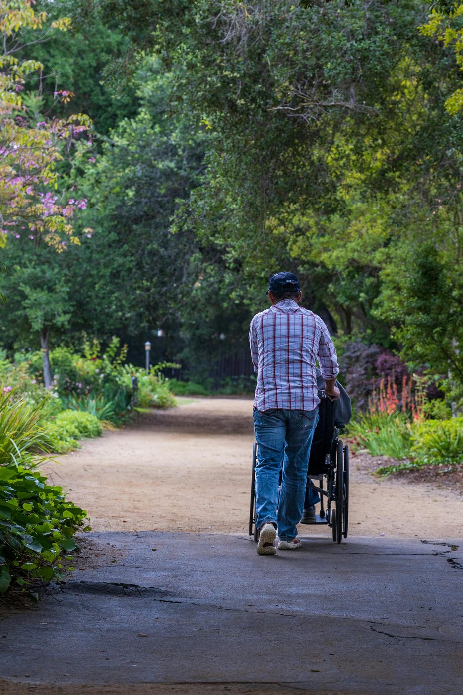 A caregiver walking with someone in a wheelchair along a tree-lined garden path